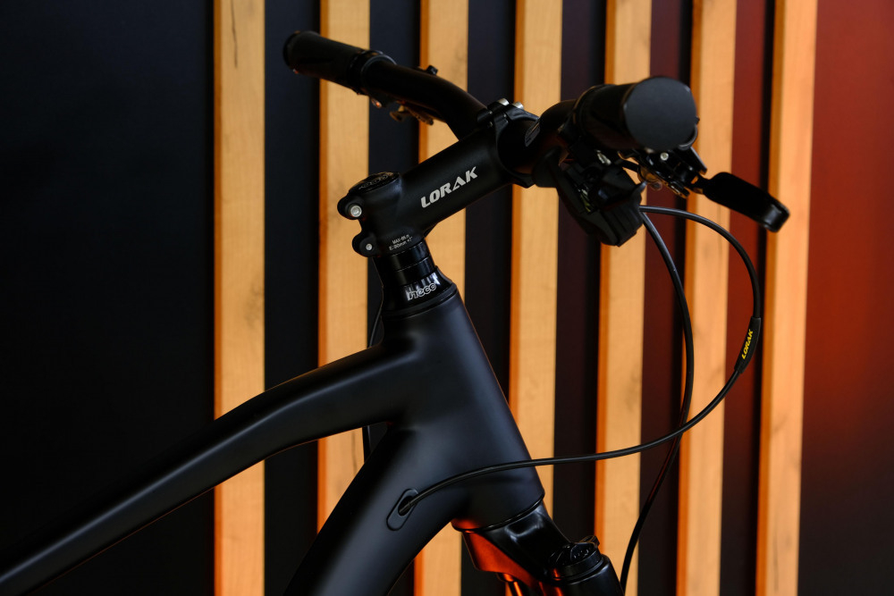 LORAK Sel 9550 Матовый Чёрный рама 23 (на рост 189-205)